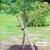 Medium tree stake and tie kit in use