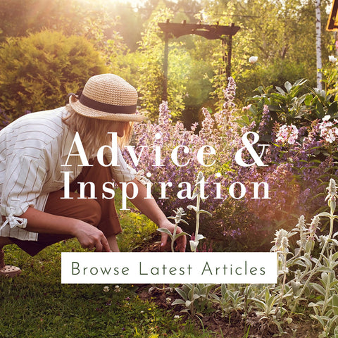 Advice & inspiration