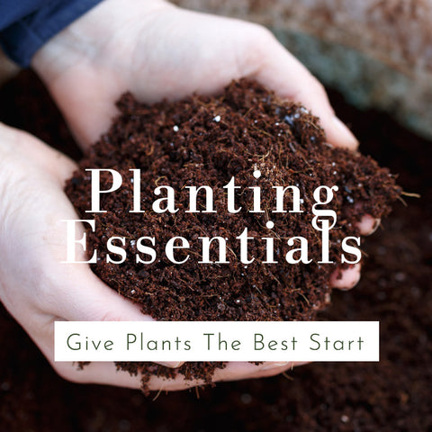 Planting essentials