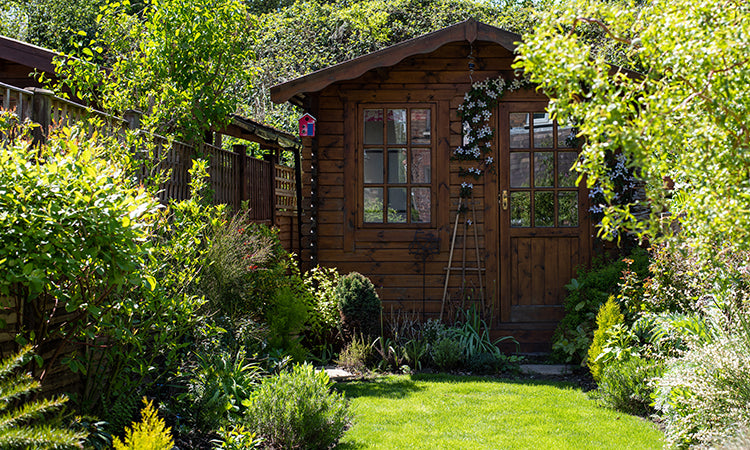 Small garden with trees, shrubs and shed