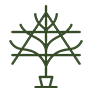 Fan trained tree icon
