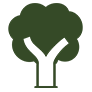 Mature tree icon