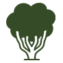 Multistem tree icon